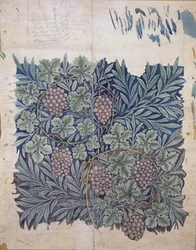 Blad- en Druifontwerp voor 